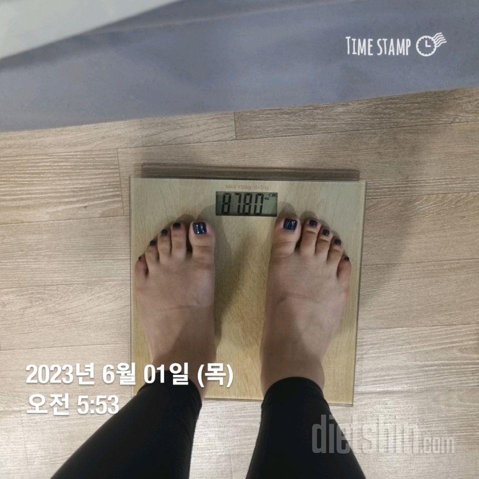 6/1 87.8kg