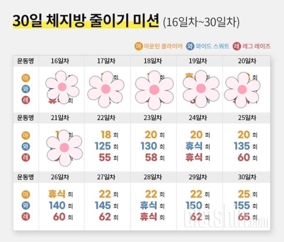 30일 체지방 줄이기21일차 성공!