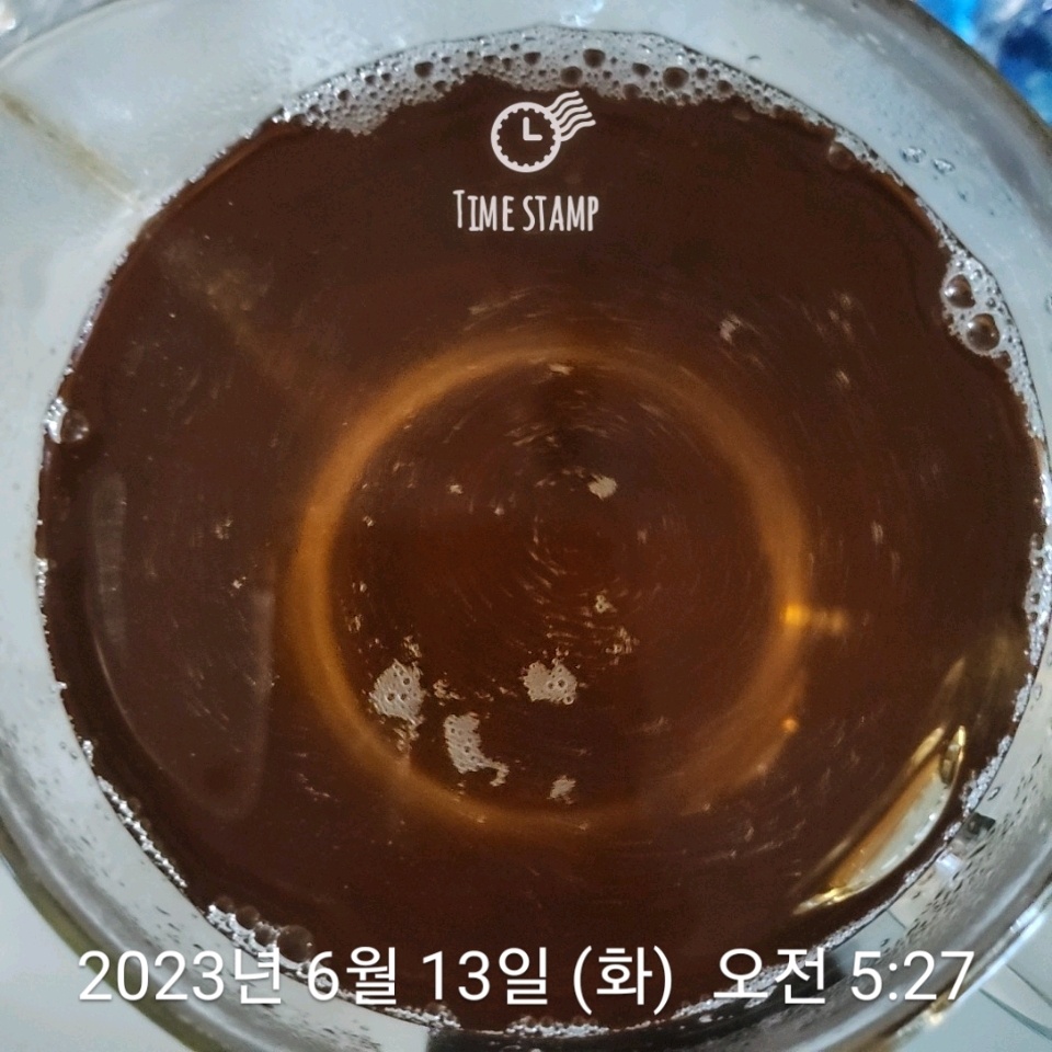 06월 13일( 아침식사 10kcal)