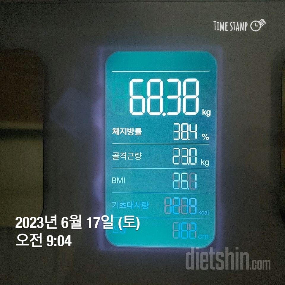 7일 아침 몸무게 재기9일차 성공!