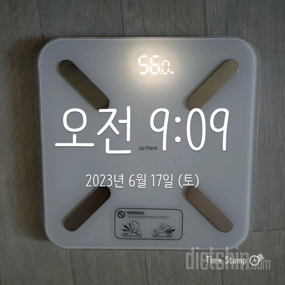 30일 눈바디 체크7일차 성공!