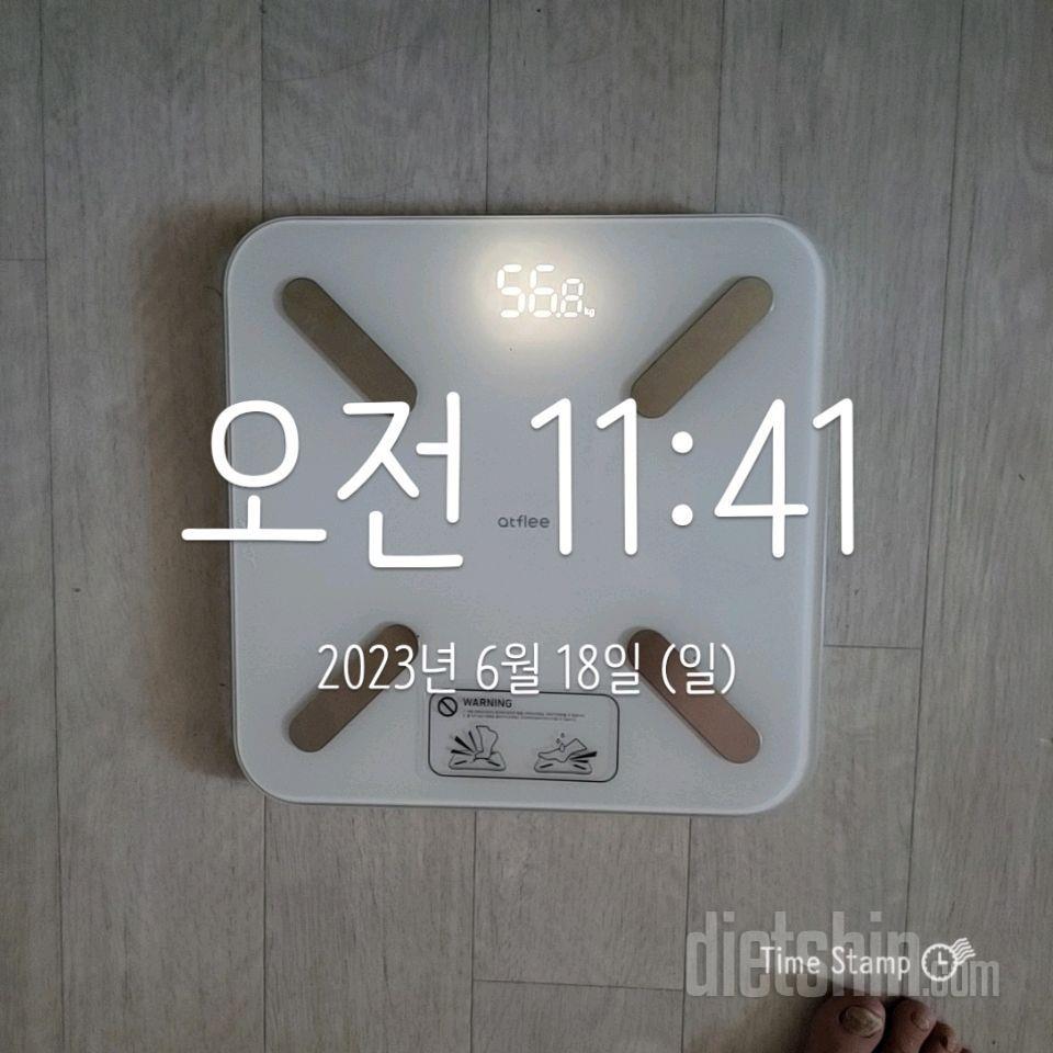 30일 눈바디 체크7일차 성공!