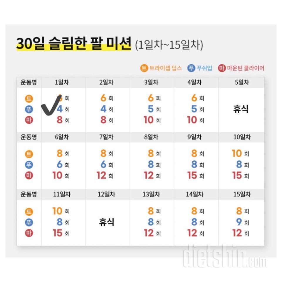 30일 슬림한 팔1일차 성공!