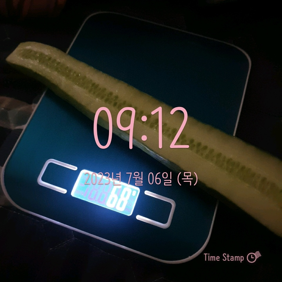 07월 06일( 아침식사 362kcal)