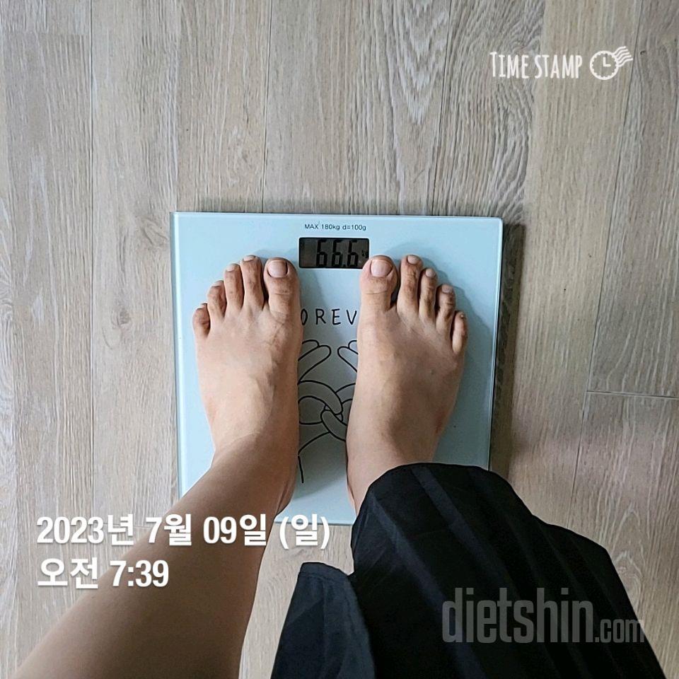 7일 아침 몸무게 재기5일차 성공!