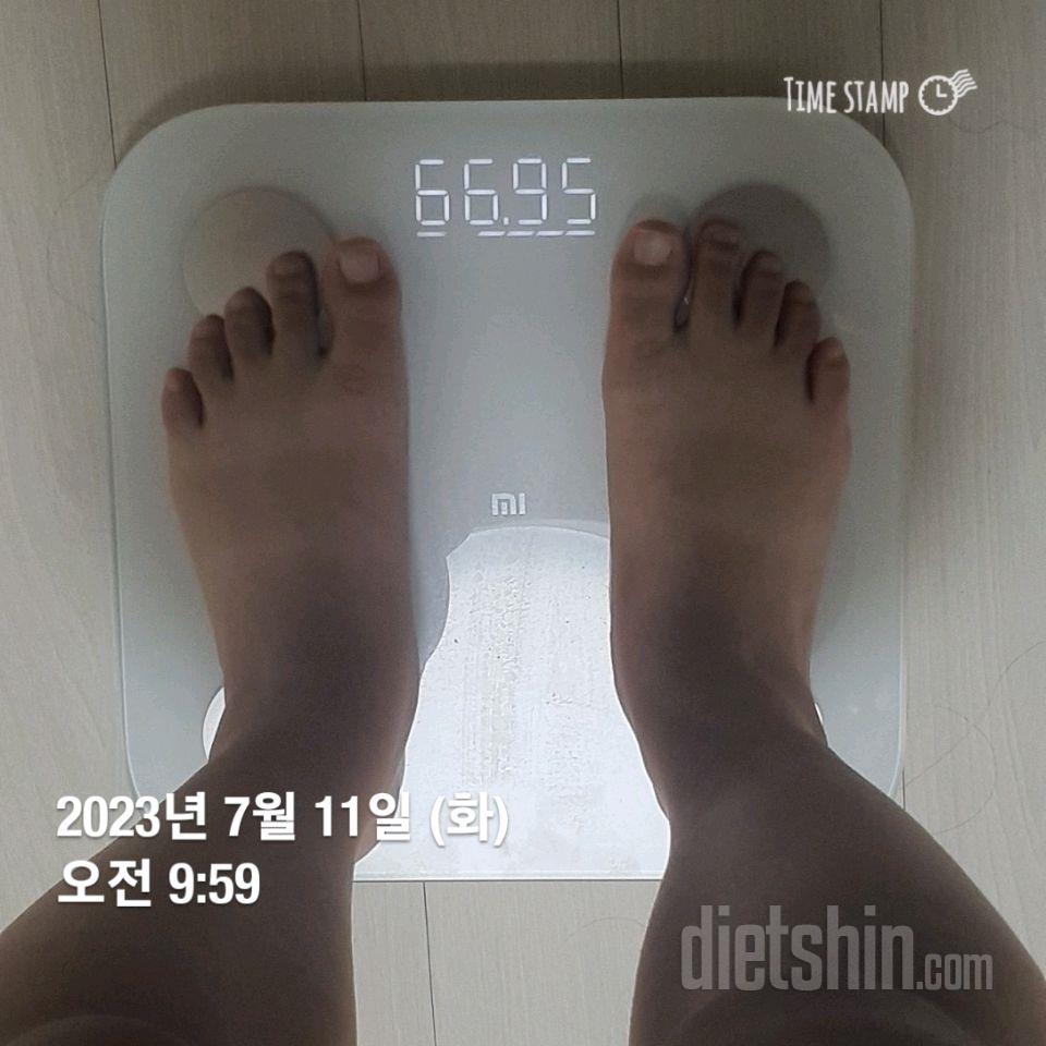 10일차 체중 및 눈바디