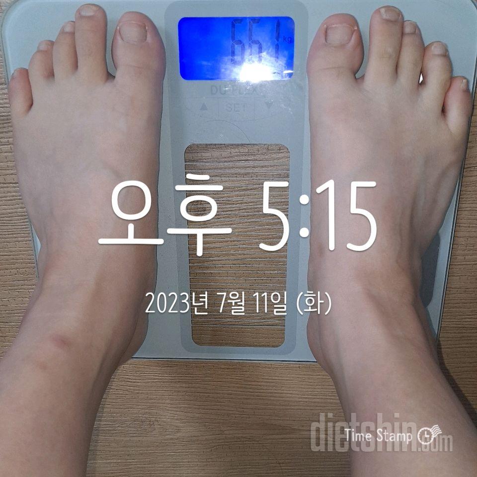 다신20기 1일차 등록