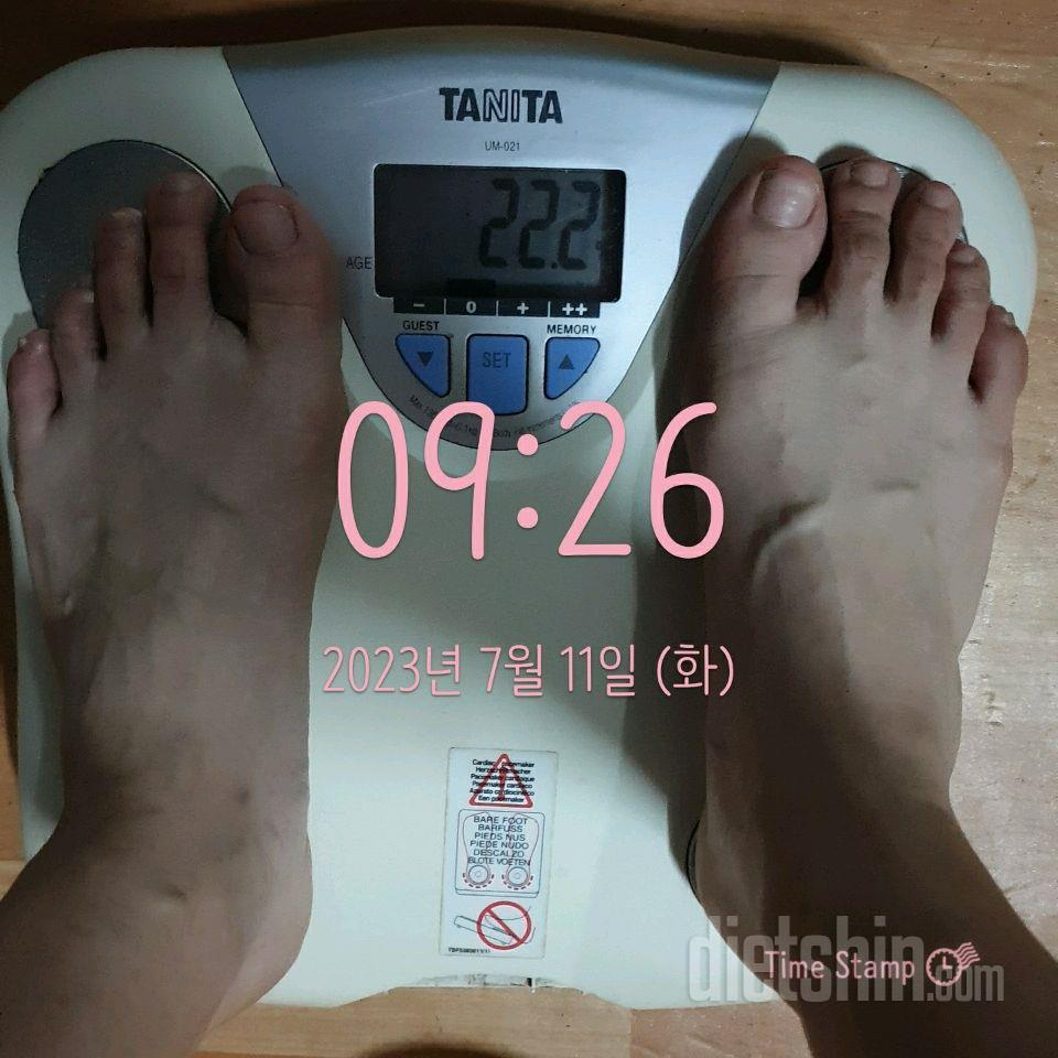 [다신 20기] 10일차 도전 눈바디+체중계인증+단백질식단