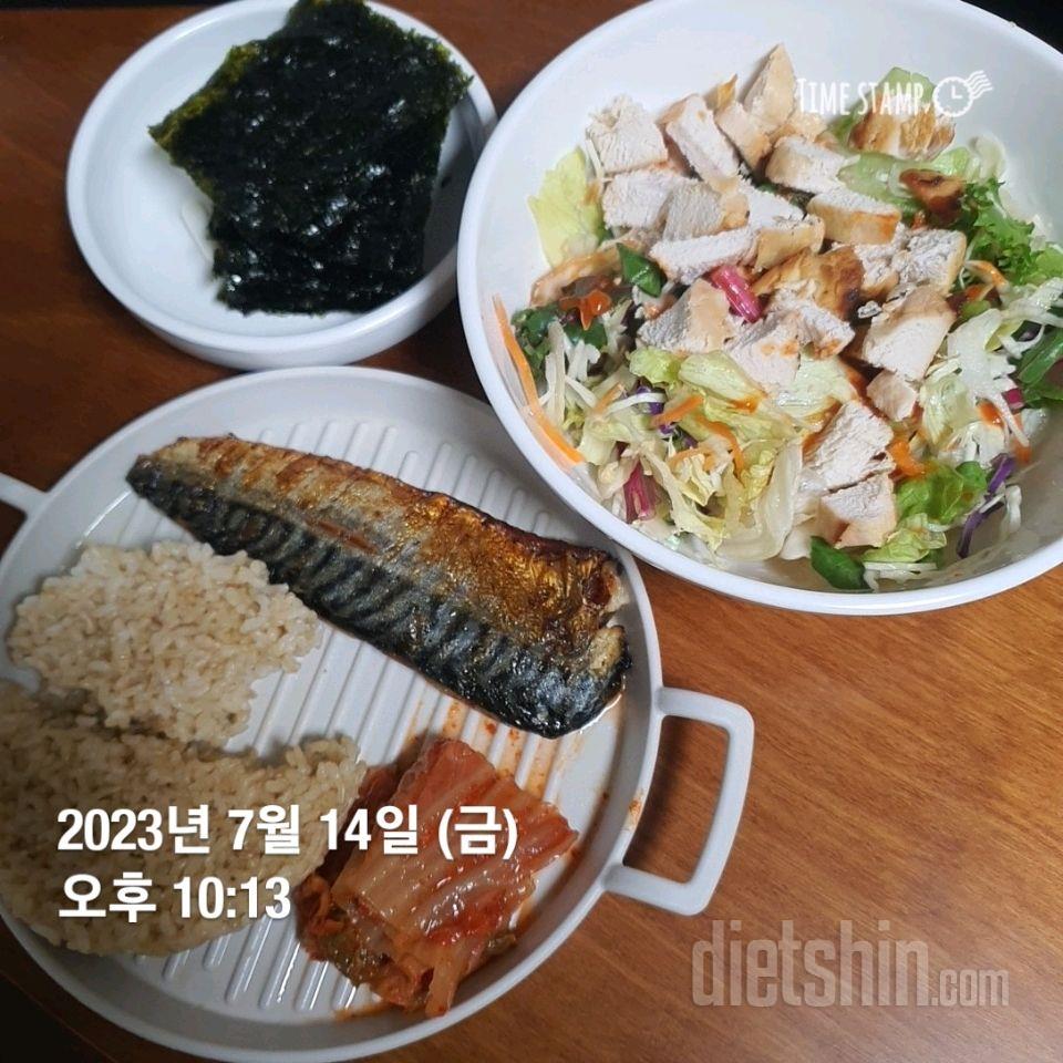 13일차 식단 및 운동