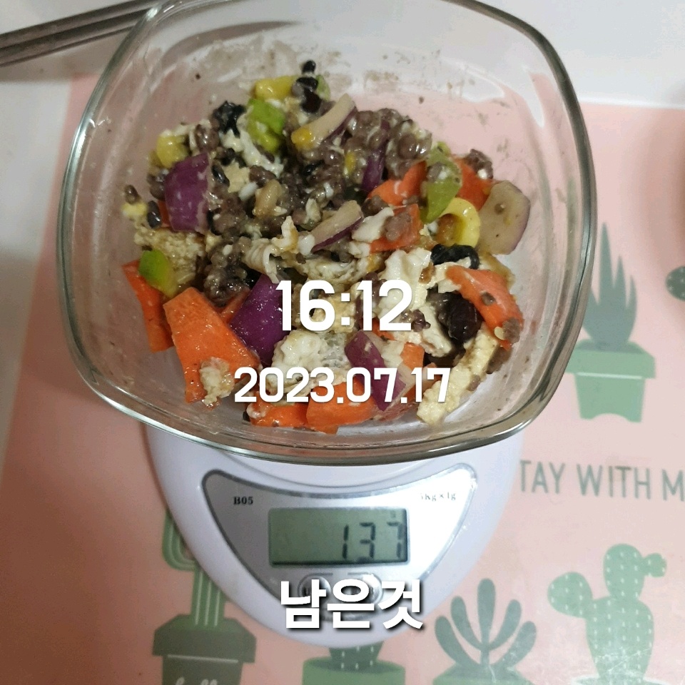 07월 17일( 저녁식사 74kcal)