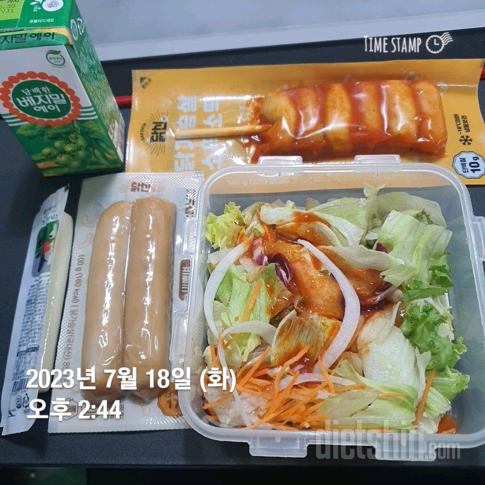 17일차 식단 및 운동