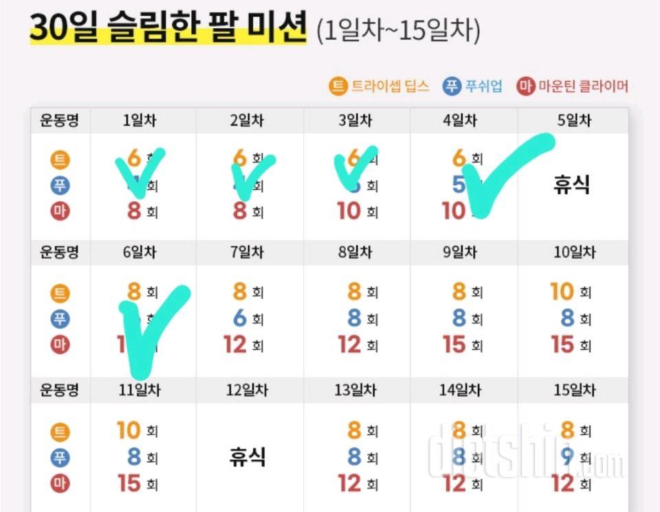 30일 슬림한 팔6일차 성공!