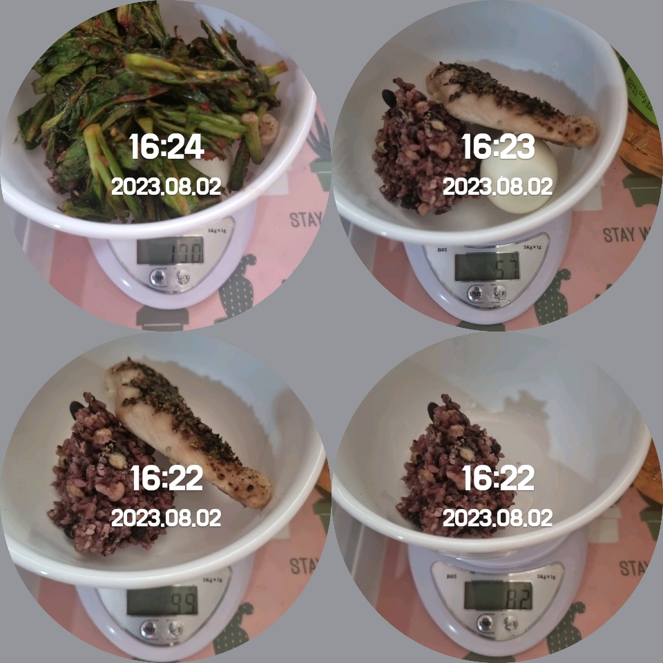 08월 02일( 저녁식사 388kcal)