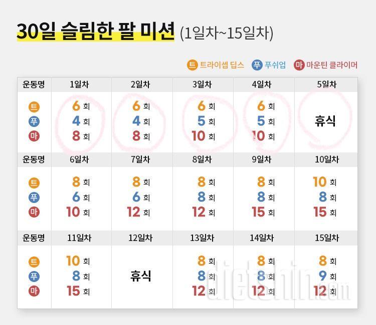 30일 슬림한 팔6일차 성공!