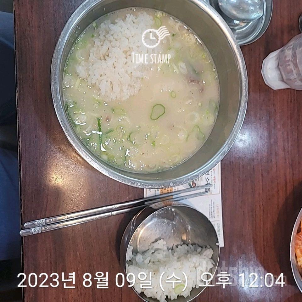 K15일차) 야옹이 ^^... (성공13,실패2  -4.2kg)