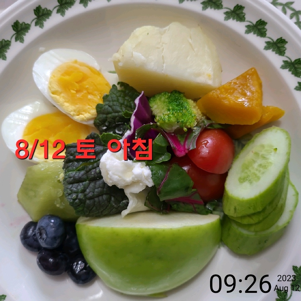 08월 12일( 아침식사 289kcal)