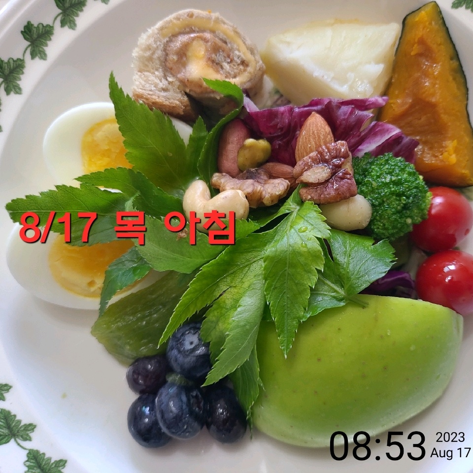 08월 17일( 아침식사 389kcal)