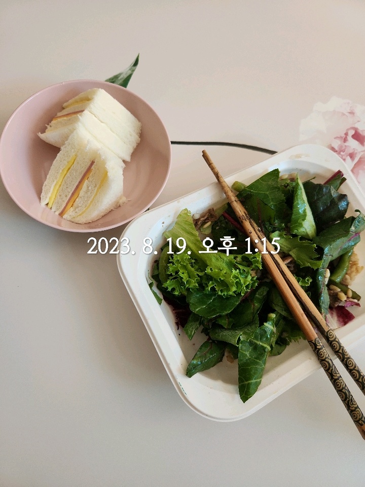 08월 19일( 점심식사 270kcal)