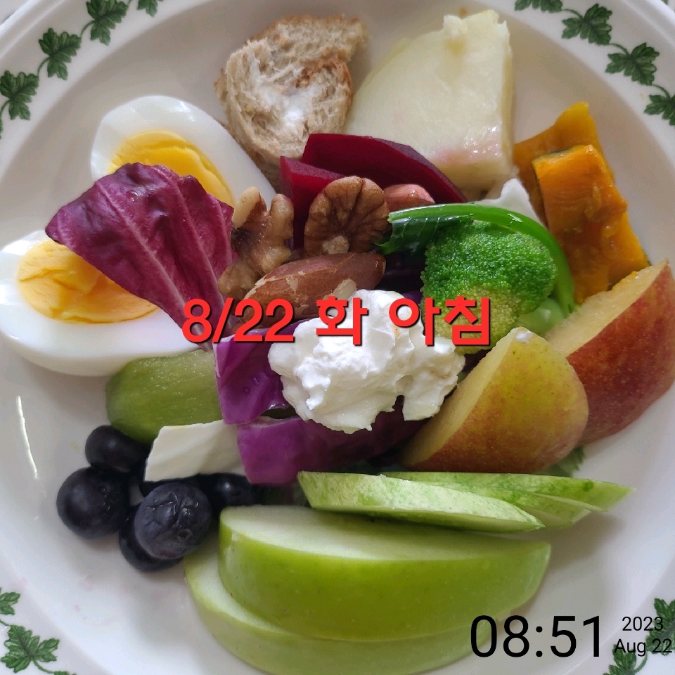 08월 22일( 아침식사 381kcal)