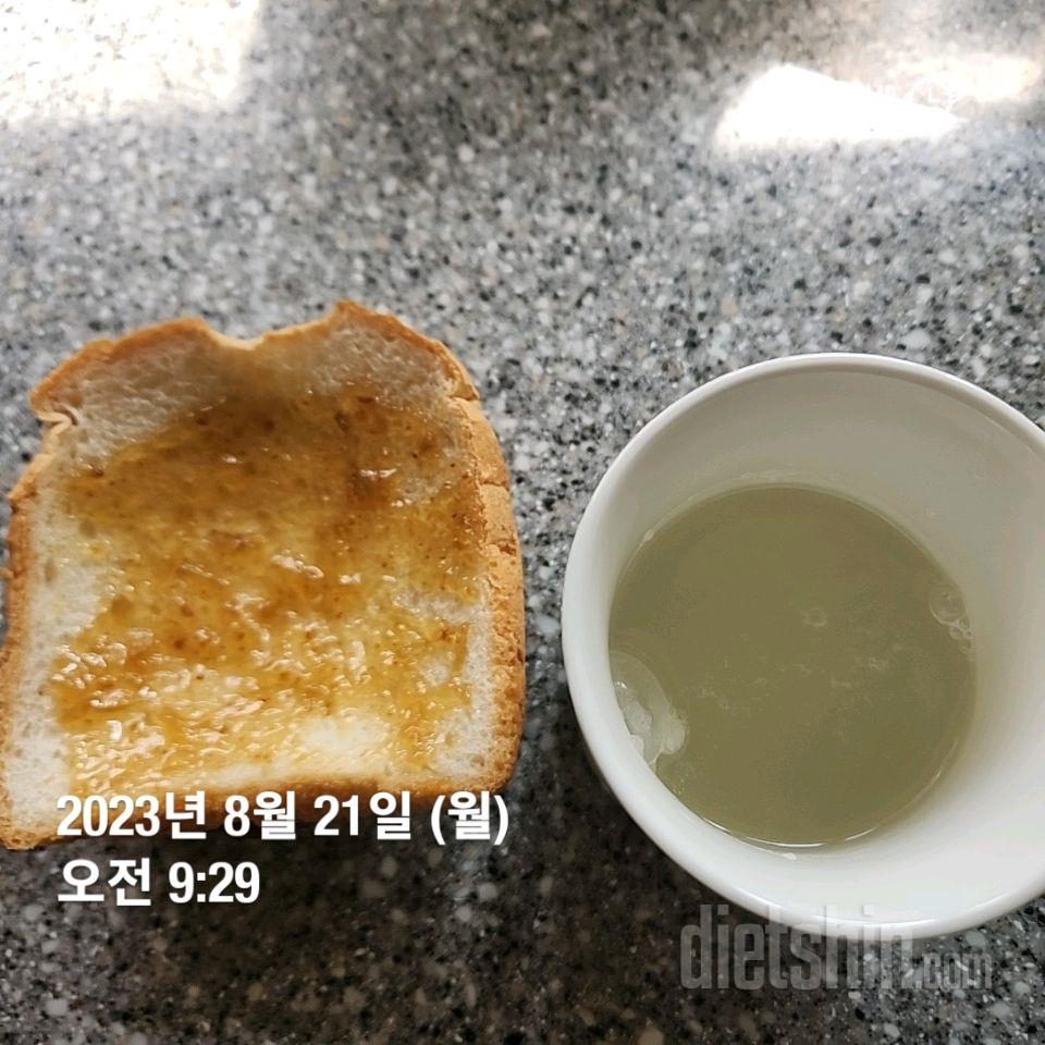 08월 21일( 아침식사 109kcal)