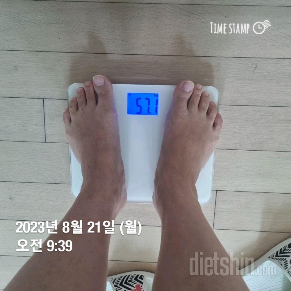 7일 아침 몸무게 재기15일차 성공!