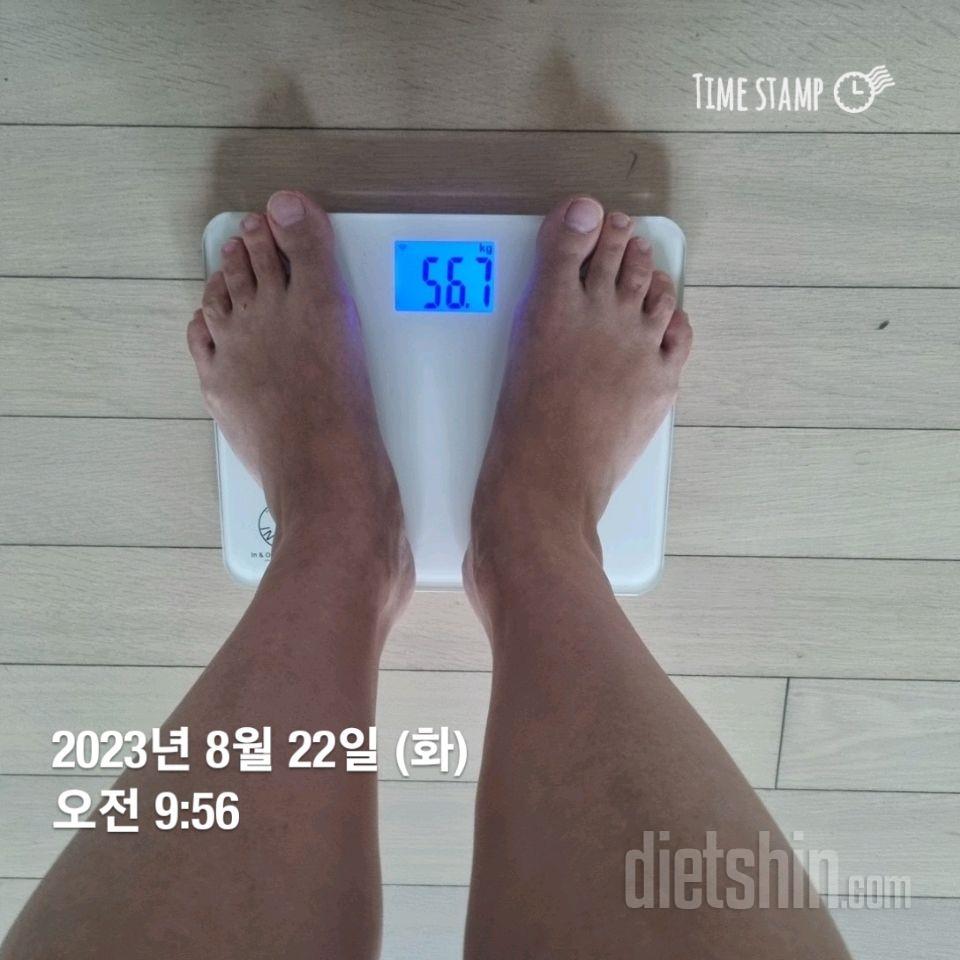 7일 아침 몸무게 재기16일차 성공!