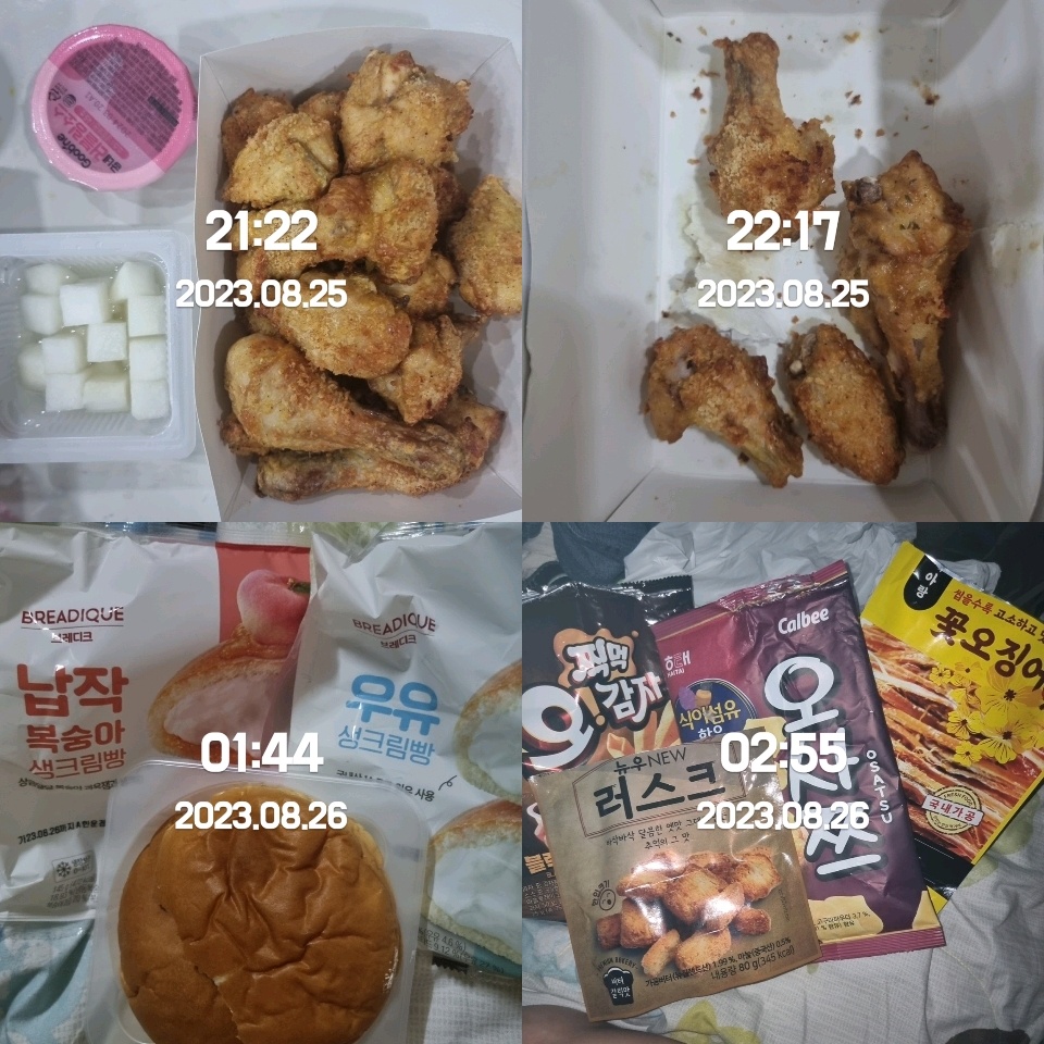 08월 25일( 야식 2513kcal)