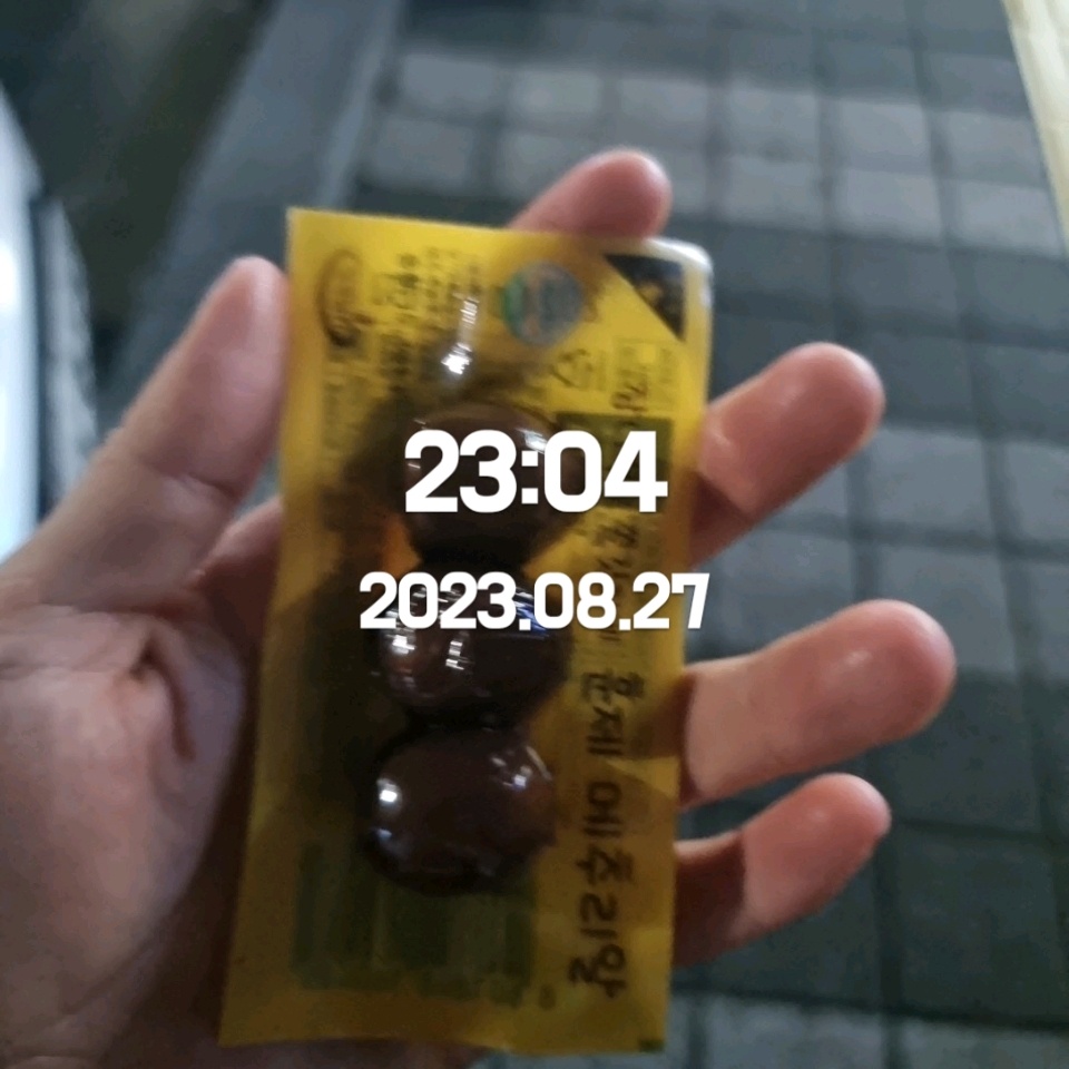 08월 27일( 야식 70kcal)