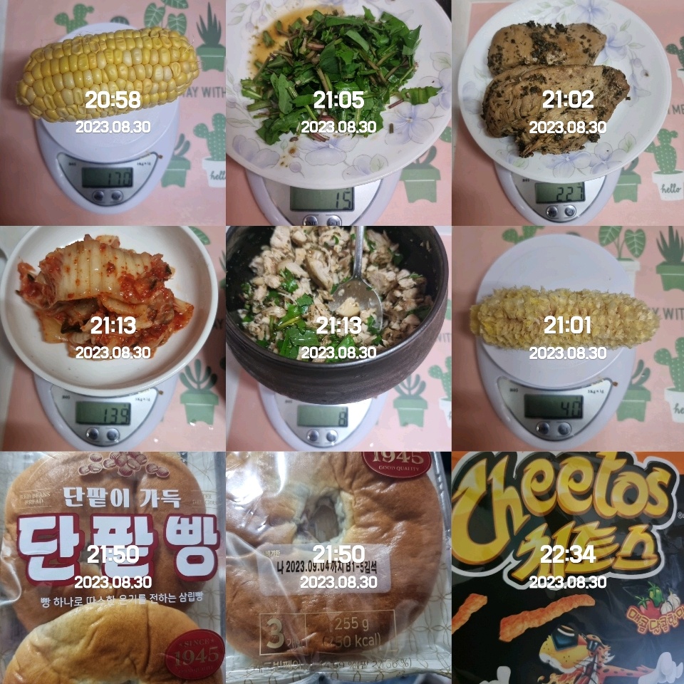 08월 30일( 저녁식사 520kcal)