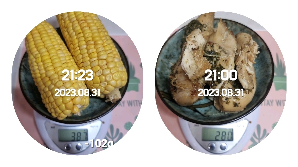 08월 31일( 저녁식사 631kcal)