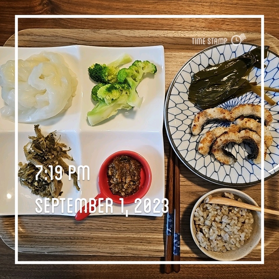 09월 01일( 저녁식사 308kcal)