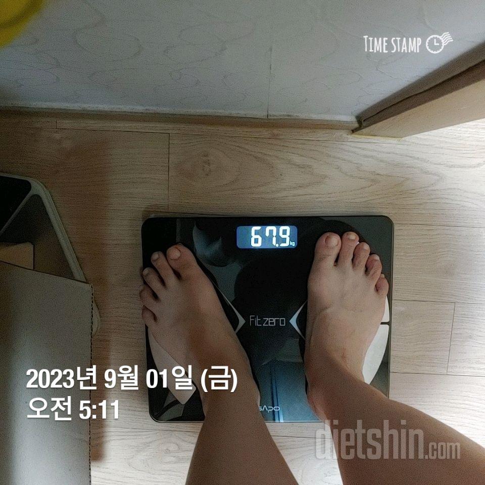 [다신 21기] 도전 시작