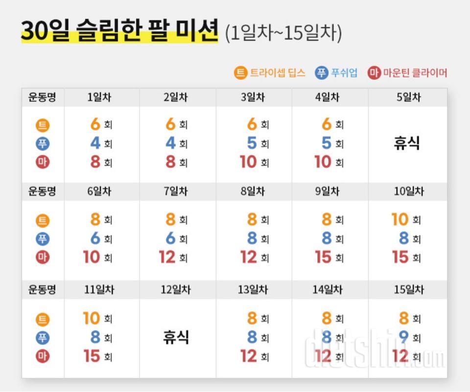 30일 슬림한 팔2일차 성공!