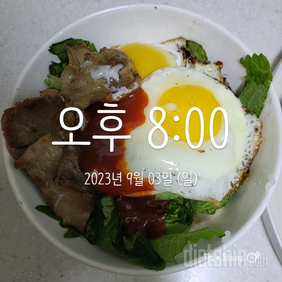 09월 03일( 저녁식사 683kcal)