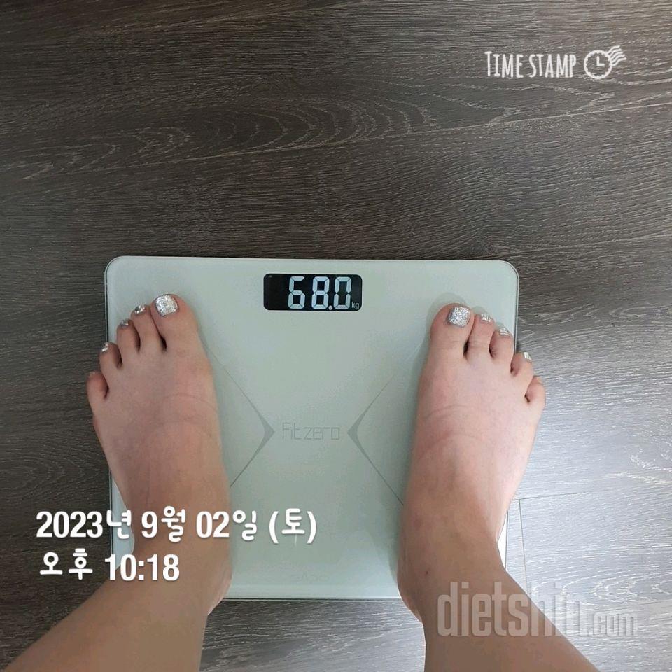 [다신21기] 다시 도전합니다