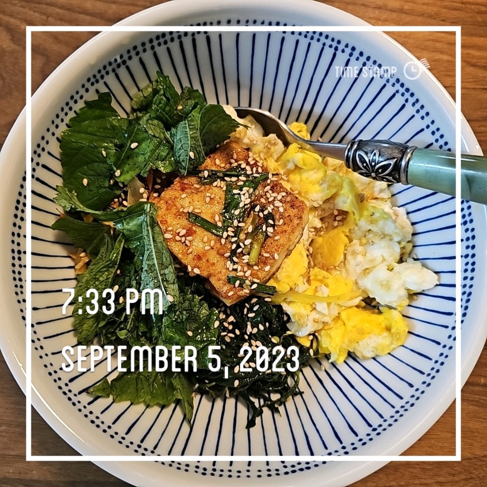 09월 05일( 저녁식사 270kcal)