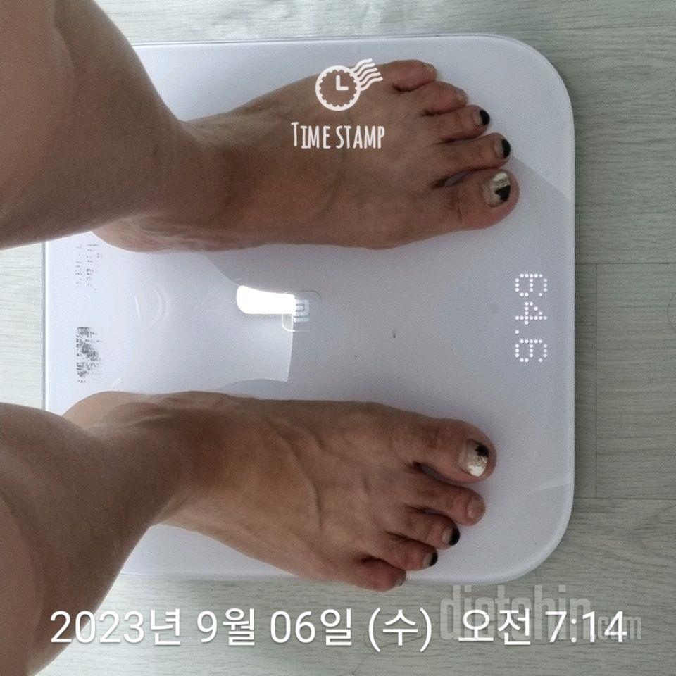 7일 아침 몸무게 재기3일차 성공!