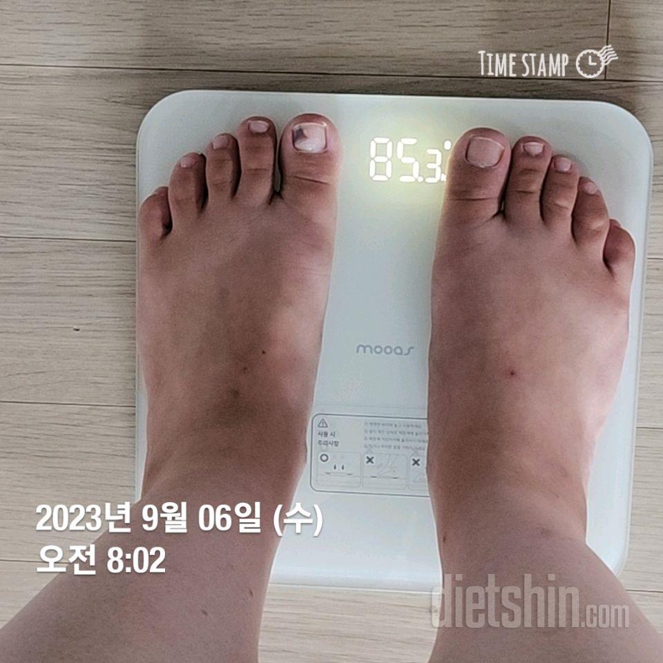 7일 아침 몸무게 재기6일차 성공!