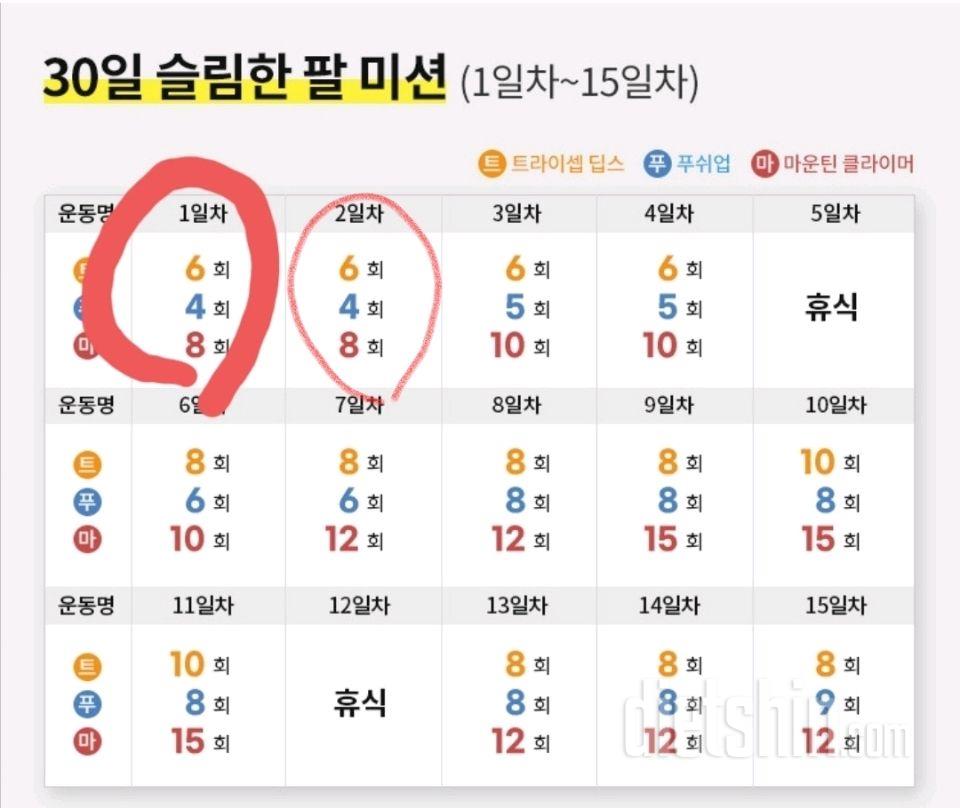 30일 슬림한 팔2일차 성공!