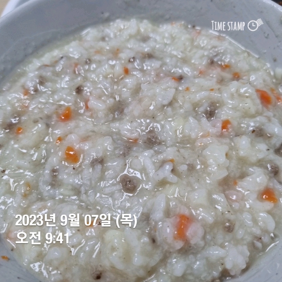 09월 07일( 아침식사 308kcal)