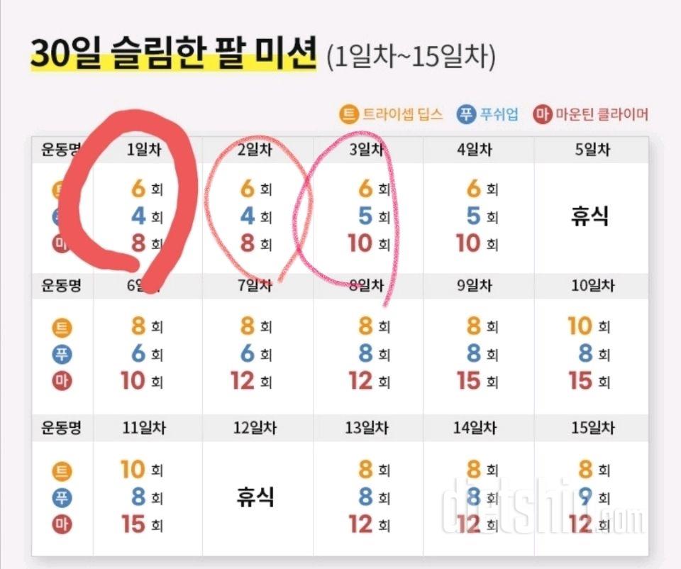 30일 슬림한 팔3일차 성공!