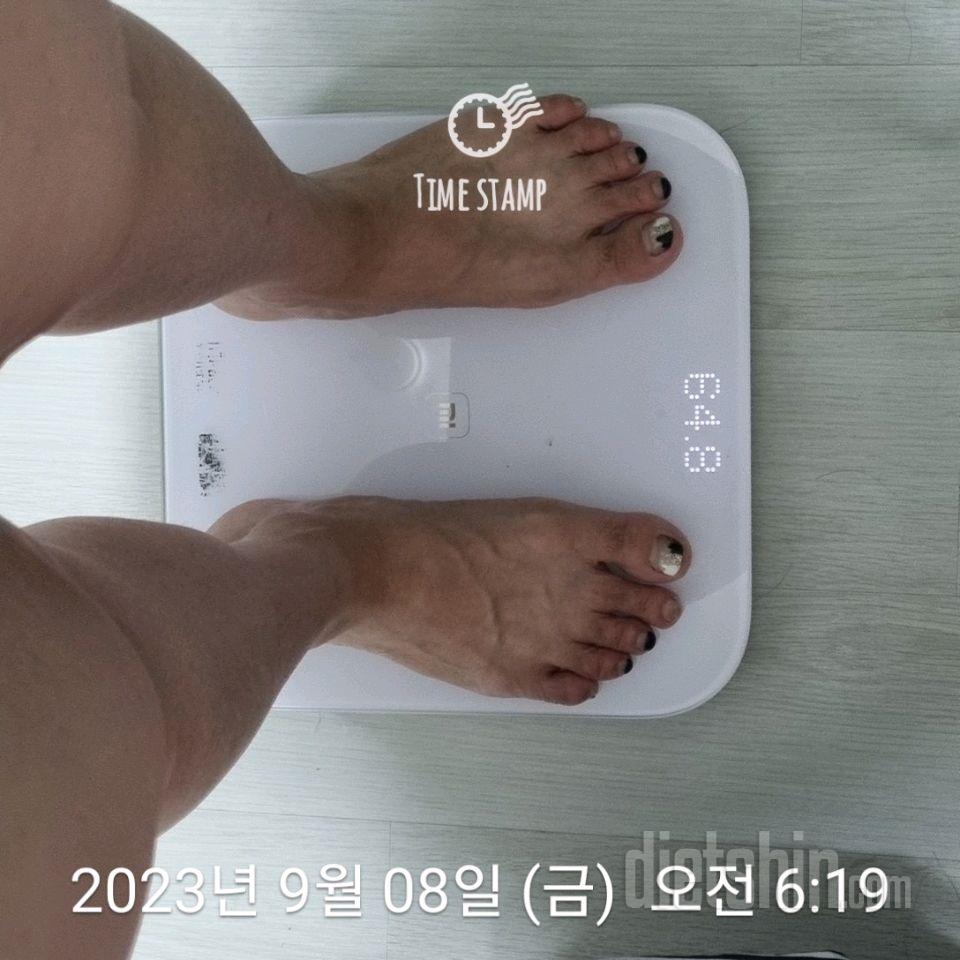 7일 아침 몸무게 재기5일차 성공!