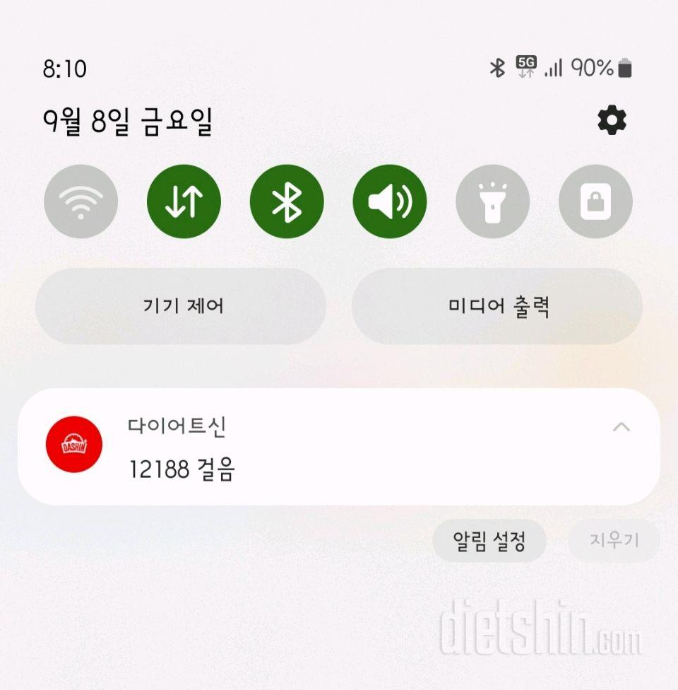 30일 만보 걷기249일차 성공!