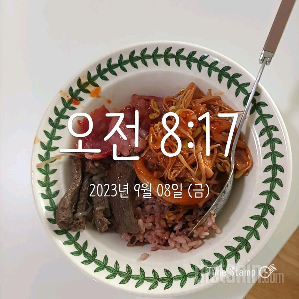 체지방18.3