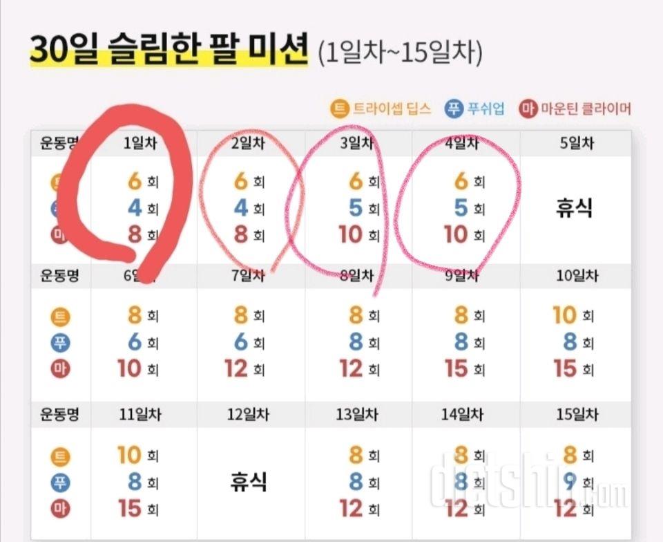 30일 슬림한 팔4일차 성공!