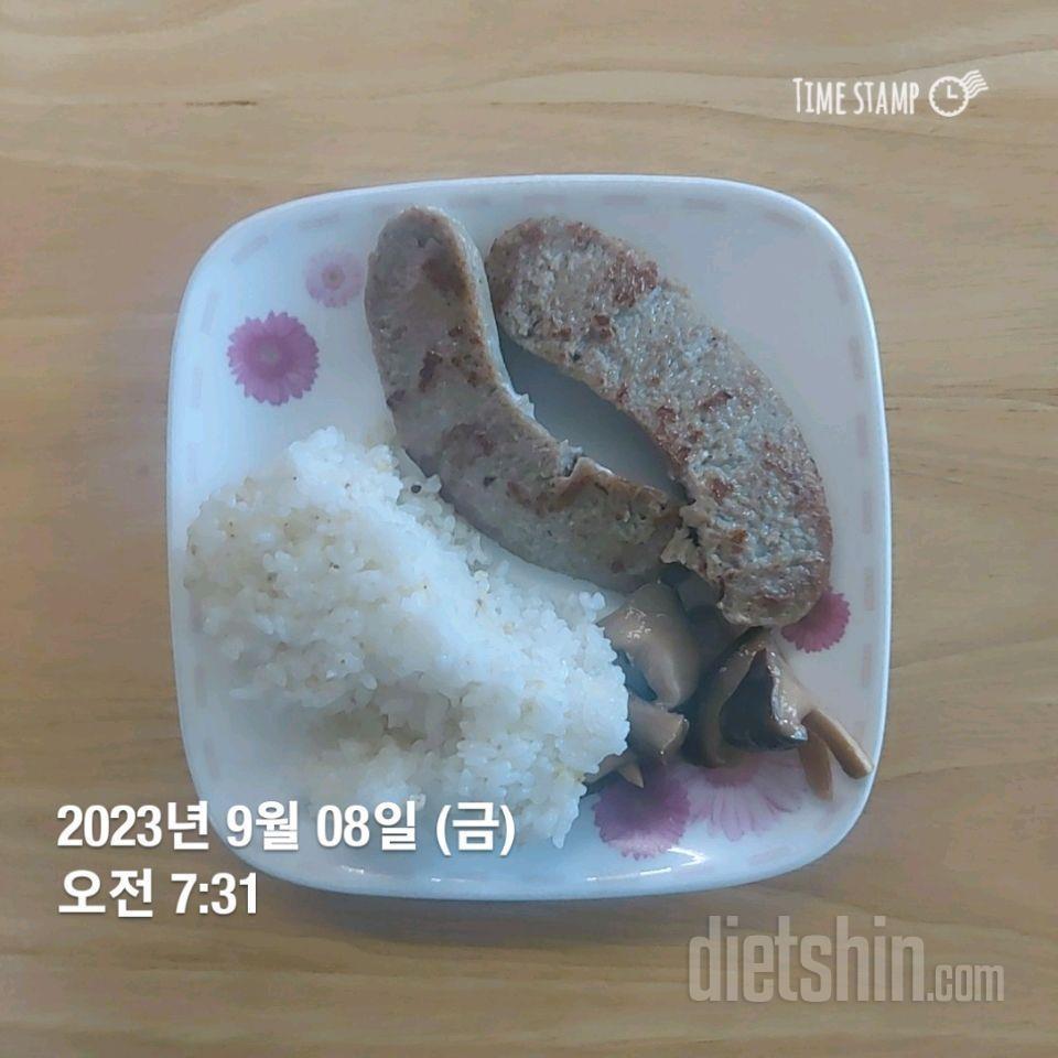 [다신21기] 2일차