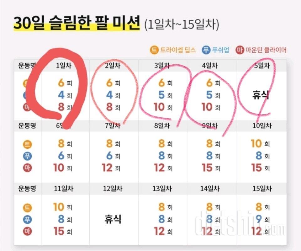 30일 슬림한 팔5일차 성공!