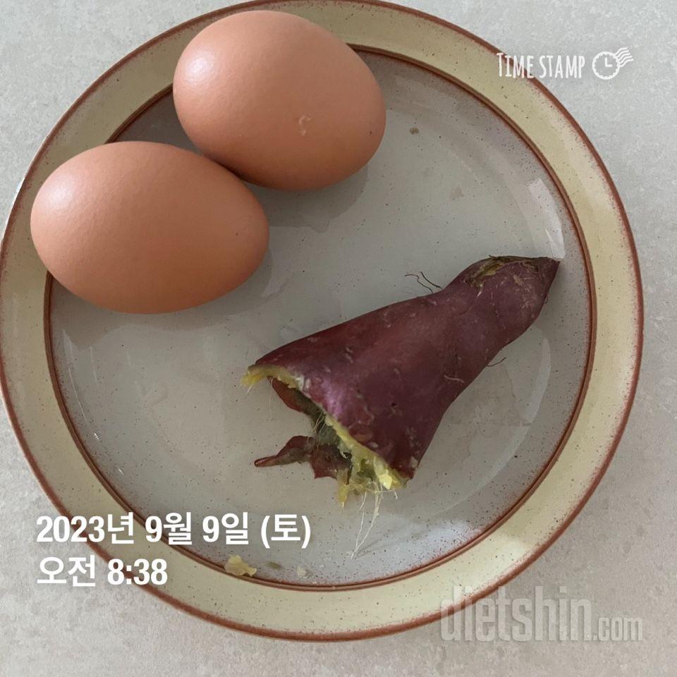 [다신21기] 2일차 식단&운동