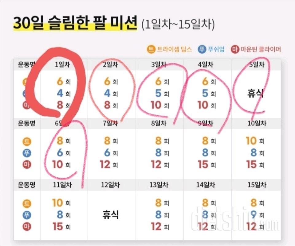 30일 슬림한 팔6일차 성공!