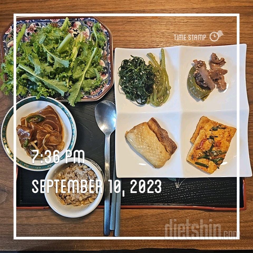 09월 10일( 점심식사 496kcal)